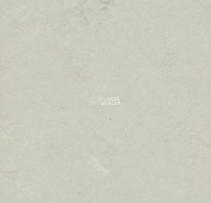 Marmoleum Modular t3716 Mercury фото 1 | FLOORDEALER